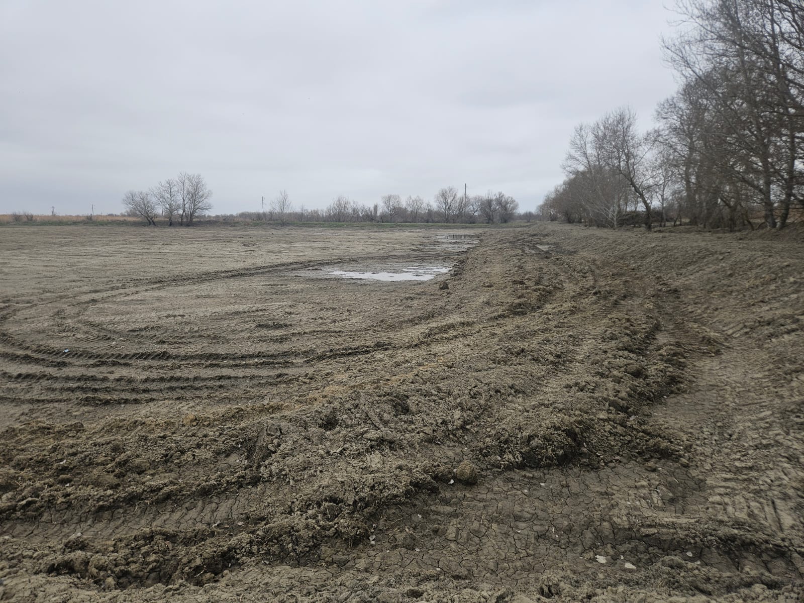 Рабочая поездка в Тарумовский район